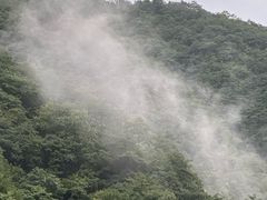 -东天目山风景区