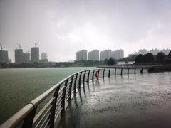 -映月湖中央公园