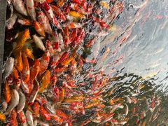 -番禺宾馆丽苑厅