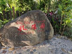 -西双版纳傣族园