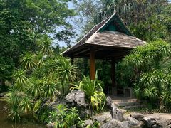 -中国科学院西双版纳热带植物园