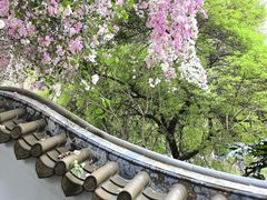 -深圳国际园林花卉博览园