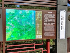 -大雁山风景区