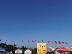 -第35届青岛国际啤酒节