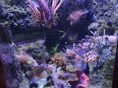 -太平洋海底世界