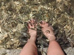 -明谷行馆·温泉
