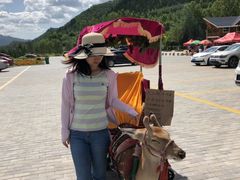 -塞罕坝国家级自然保护区