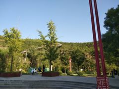 -五龙城郊森林公园