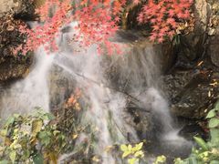 -水绘园