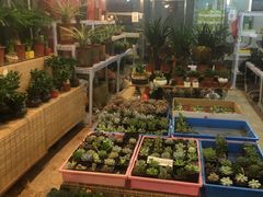 -宝鸡东道花鸟鱼虫市场(吉利花园商场店)