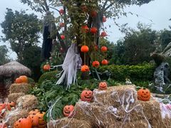 -七彩云南欢乐世界