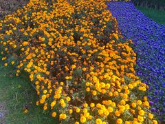 -大明宫国家遗址公园·御道广场