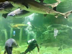 -华夏文旅海洋公园