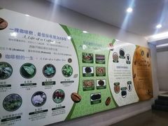 -巴厘岛黄金金兔咖啡工厂