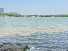 -大兴滨河森林公园