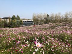 -云幽谷旅游区
