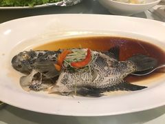 -宝燕壹号(徐汇店)