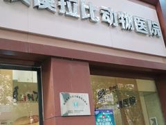 -宠颐生汉谟拉比宠物医院