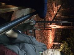 Chiang&nbsp;Mai&nbsp;Night&nbsp;Safari-清迈夜间动物园