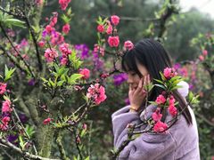 -南国桃园旅游度假区