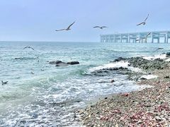 -银沙滩浴场