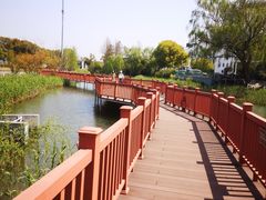 -苏州太湖西山岛开心农场