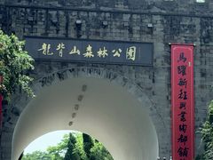 -宜兴龙背山森林公园