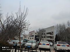 -中国医科大学附属盛京医院大连医院(总院)
