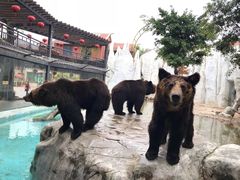 -灵玲国际马戏城