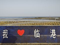 -南汇嘴观海公园