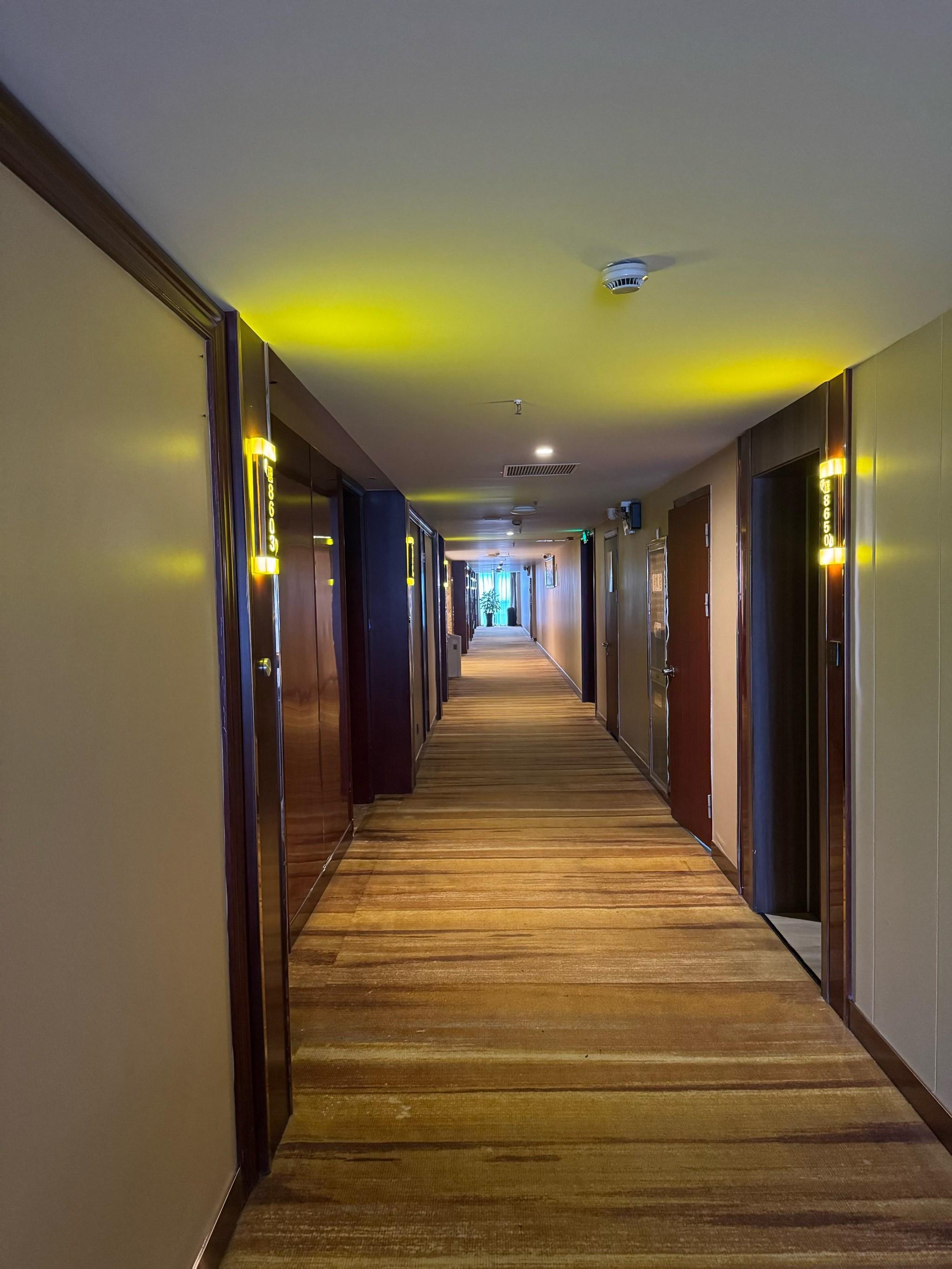 『cz』一程春暖花开🌸一路春风得意🍃