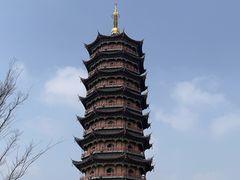 -葛仙湖公园