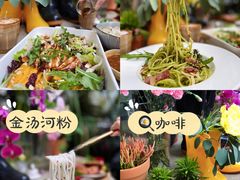 -PlantsEatery·植物食堂(REX春熙店)