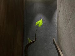 -王府茶楼茶宴·创意菜(大观园总店)