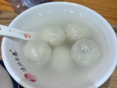 -海丝金凤(金鱼店)