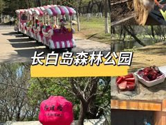 -长白岛森林公园