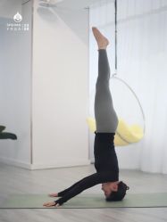 -水沐莲清瑜伽·普拉提