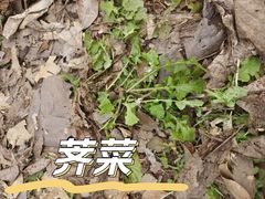 -凤凰沟景区