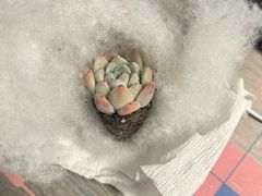 -金泉美食宫(金泉广场店)