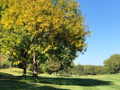 -万柳高尔夫俱乐部