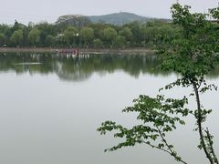 -羊山湖公园