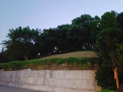 -龙头寺公园