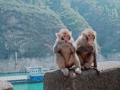 -白帝城·瞿塘峡景区