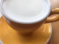 全脂牛奶-Seesaw Coffee(朝阳大悦城店)