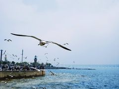 -星海广场