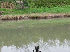 -幕燕滨江·长江观音景区