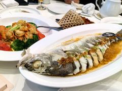 豆豉蒸鲟龙鱼-万龙洲海鲜(大兴绿地缤纷城店)