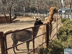 -大连森林动物园