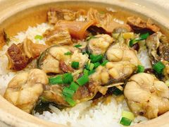 双拼牛腩煲仔饭-俊丽双皮奶甜品店