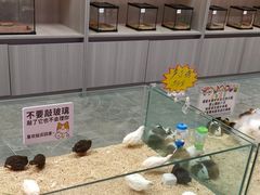 -百荣世贸商城